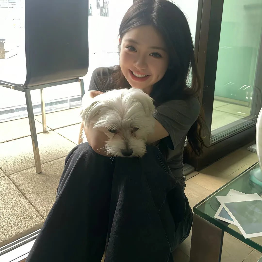 红杏出墙
